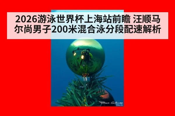2026游泳世界杯上海站前瞻 汪顺马尔尚男子200米混合泳分段配速解析