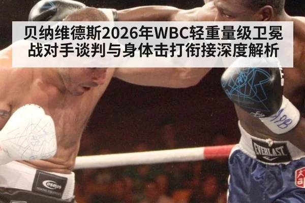 贝纳维德斯2026年WBC轻重量级卫冕战对手谈判与身体击打衔接深度解析